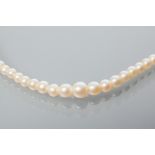 EARLY TWENTIETH CENTURY GRADUATED PEARL