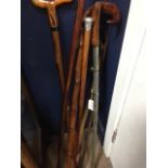 LOT OF WALKING STICKS AND CANES two with white metal fittings;