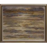 * JAMES S DAVIS PAI RSW FRSA, ARISAIG MORNING oil on canvas,