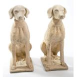 A PAIR OF COMPOSITION STONE GARDEN FIGURES, 
each modelled as a seated hound, on rectangular base,