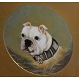 19TH CENTURY ANGLO IRISH SCHOOL, study of a Staffordshire hound, Mad Man, O.O.C.