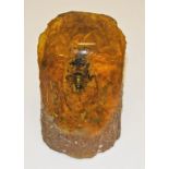 TAXIDERMY: A LARGE SCARAB OR ELEPHANT BEETLE, 
within an amber composition, 4.5in (12cm).