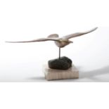 A BRONZE STUDY OF A SEAGULL IN FLIGHT, 
gilt and red patination,