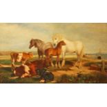 ATTRIBUTED TO THOMAS FRANCIS WAINEWRIGHT ( 1794-1883), Cattle and Horses in a Seaside Field, O.O.P.