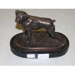 A SMALL BRONZE MODEL OF A BOXER DOG, raised on an oval polished limestone base, 8in (20cm).