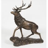 A LARGE BRONZE FIGURE, 
modelled as a stag at bay, with large antlers on a rugged base,