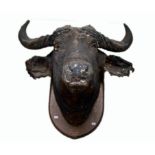 TAXIDERMY: 
A LARGE STUFFED AND MOUNTED AFRICAN WATER BUFFALO HEAD AND HORNS,