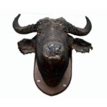 TAXIDERMY: A LARGE STUFFED AND MOUNTED AFRICAN WATER BUFFALO HEAD AND HORNS,