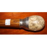 A SILVER MOUNTED ELM WALKING CANE, the finial in the form of a marble egg in an egg cup,
