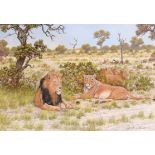 DAVID JOHNSON (1972), Family of Lions in an African Landscape, pastel on paper, 19.5" (50cm)h x 31.