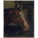 FOLLOWER OF JOHN FERNELEY - HEAD OF A HORSE, OIL ON CANVAS, LAID ON COPPER PANEL, 26CM X 21.5CM,