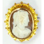 A VICTORIAN CAMEO BROOCH, THE OVAL SHELL CARVED WITH THE HEAD OF A LADY, IN ETRUSCAN STYLE GOLD