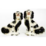 TWO MATCHING STAFFORDSHIRE EARTHENWARE MODELS OF SPANIELS, SIMILARLY DECORATED WITH SPONGED BLACK