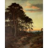 DANIEL SHERRIN (1868-1940) SURREY PINES AT SUNSET signed, oil on canvas, 124 x 99cm ++In ready to