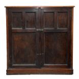 A VICTORIAN MAHOGANY CUPBOARD WITH PANELLED DOORS, 121CM H, 122CM W