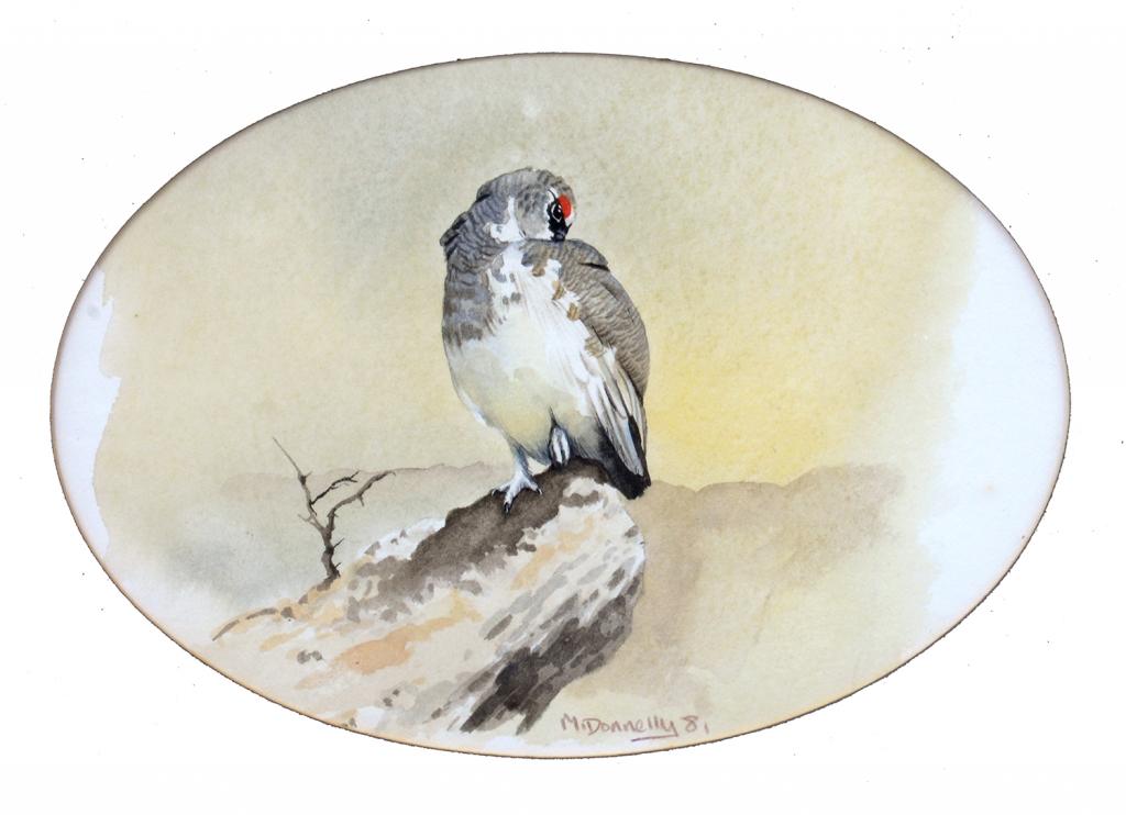 M. DONNELLY - BIRD SUBJECTS (3) AND WILDCAT, WATERCOLOURS - Image 3 of 4