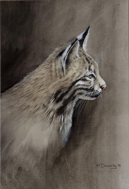 M. DONNELLY - BIRD SUBJECTS (3) AND WILDCAT, WATERCOLOURS - Image 2 of 4