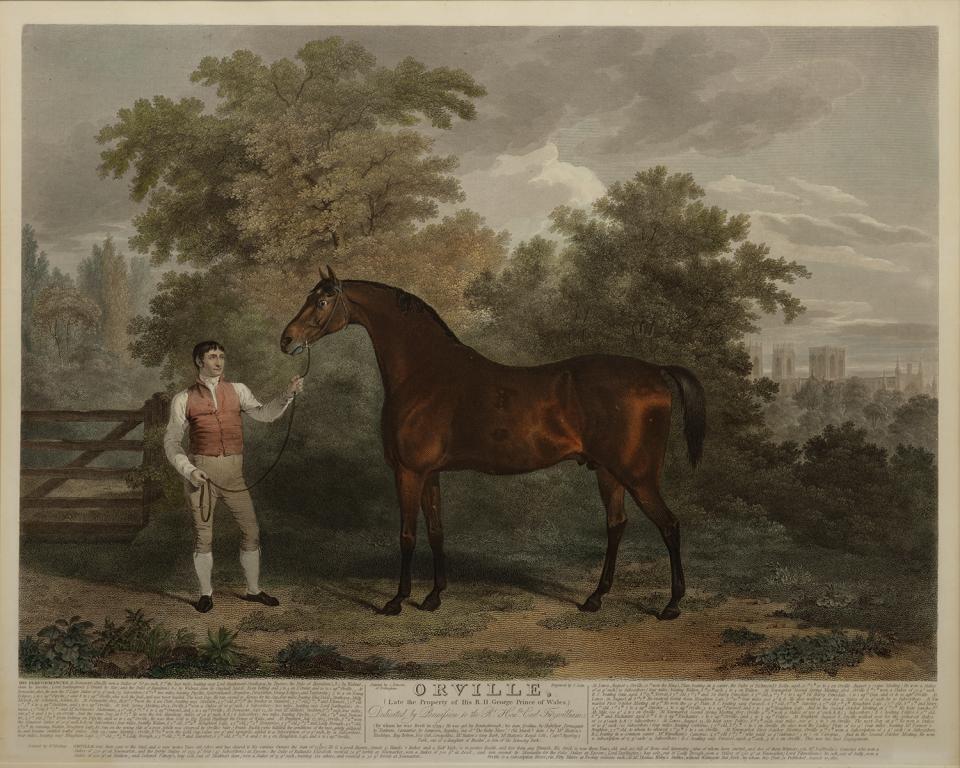 J. SCOTT AFTER CLIFTON TOMSON - PORTRAIT OF THE RACEHORSE ORVILLE, AQUATINT, HAND COLOURED,