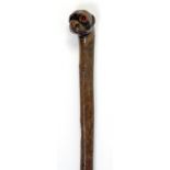 A CARVED BRIARWOOD WALKING CANE, THE POMMEL AS THE HEAD OF A DOG WITH GLASS INSET EYES, 88CM, LATE