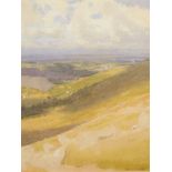 †DAVID WOODFORD (1938-) ANGLESEY LANDSCAPE signed, watercolour, 33 x 25.5cm ++In fine condition