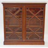 A mahogany standing bookcase, the astragal doors with bevelled glass, on plinth base, 106cm high,