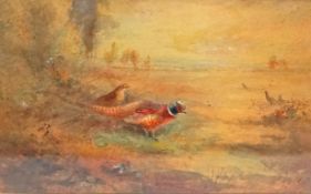 James Stinton
Two pheasants in a landscape
Watercolour and bodycolour
Signed lower left 
11.