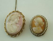 A conch shell cameo brooch;