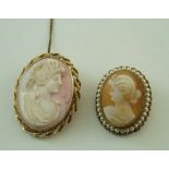 A conch shell cameo brooch;