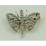 A rose diamond set butterfly brooch, 3.5 cm wingspan, 6.