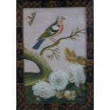 Robert Morris after Samuel Dixon
Bird in a branch
Embossed paper and body colour
29cm x 19cm