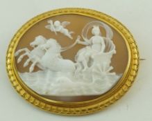 A large oval shell cameo brooch,