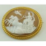 A large oval shell cameo brooch,