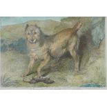 After Landseer 
Terrier with a rat
Hand coloured engraving
Sight 13cm x 19cm 
Together with Cook