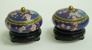 A pair of cloisonné bowls and covers decorated with flowering prunis branches on a blue ground each