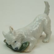 A Royal Copenhagen figure of  a West Highland white terrier chewing a shoe,