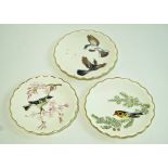 A set of three Royal Worcester plates designed by Dorothy Doughty of the Blackburnian Warbler,