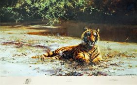 David Shepherd Indian siesta Coloured print Signed in pencil lower right and numbered 89/1300 49cm