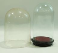 Two round glass domes, 32cm high, 22.