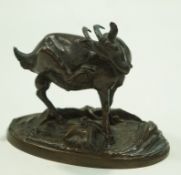 A bronze figure of a goat on an oval base,