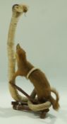 A taxidermy of a mongoose fighting a cobra,