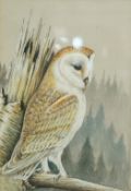 Basil W Wright Barn owl Watercolour Signed lower right 24.