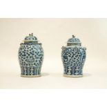 A pair of Chinese vases and covers,