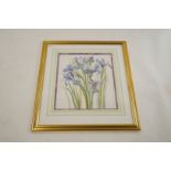 Davina Spay, Still life with Freesias and another with iris watercolours,