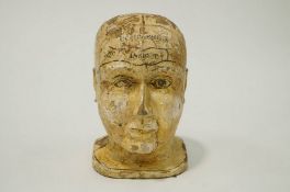 A painted pine Phrenology pine male head, with each section painted in black and cream outline,