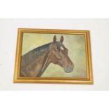 A M Selfe Portrait of a bay horse, head and neck Oil on board signed and dated 1959,