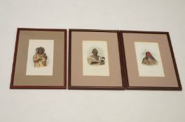 Indigenous Americans Hand coloured engravings, a set of three 21.