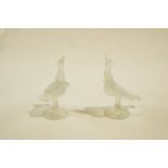 A pair of Lalique seagulls, with a combination of frosted and clear crystal glass,