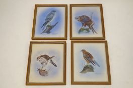 M J Hook, dated '74' 4 x Watercolours of birds Kite, Hen Harrier,