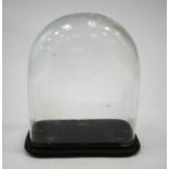 A small Victorian glass dome with base,