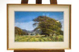 A modern pastel landscape of trees within a field, signed indistinctly Dorothy G..., 48.